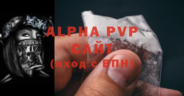 стаф Нефтегорск