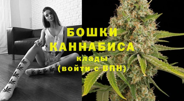 стаф Нефтегорск