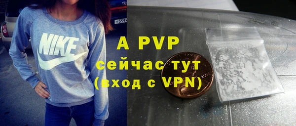 стаф Нефтегорск