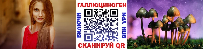 МЕГА ССЫЛКА  Фурманов  Галлюциногенные грибы Cubensis 